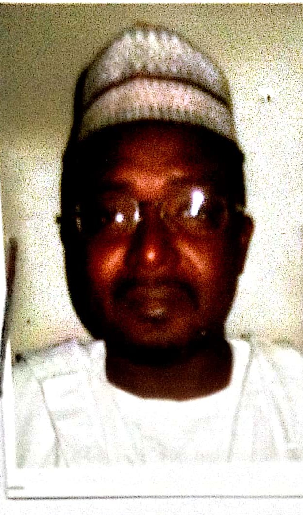 Professor S. I. Ibrahim